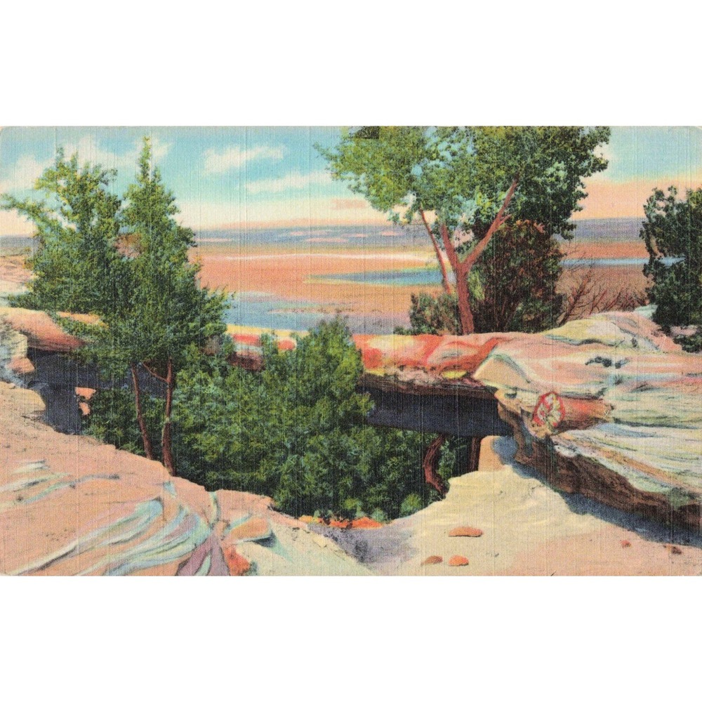 Vintage Natural Bridge Petrified Forest Arizona Linen Postcard P.F.9 Curt Teich